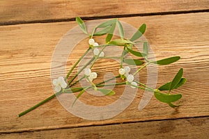 Mistletoe branch with berries
