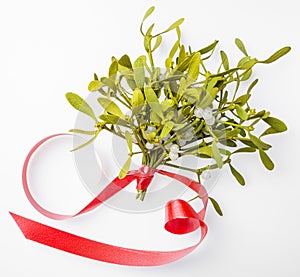 Mistletoe branch