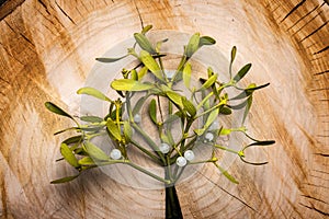 Mistletoe