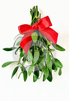 Mistletoe bunch