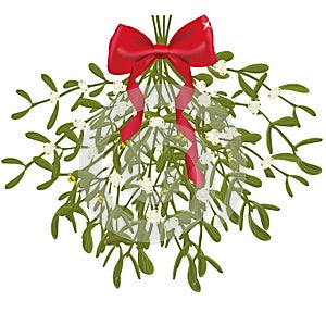 Mistletoe bunch with red ribbon.