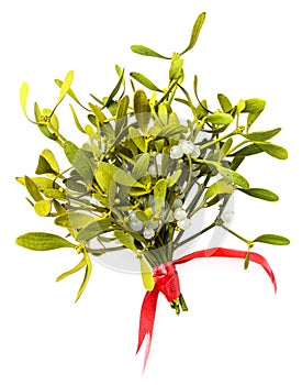 Mistletoe