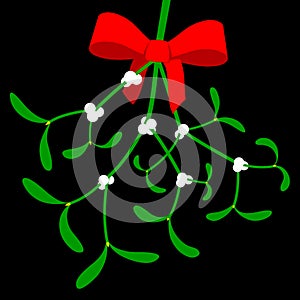 Mistletoe with red bow photo