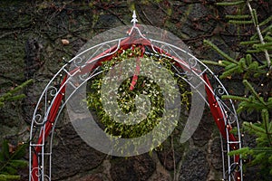 Mistletoe twigs on a metal arch in front of a stone wall, according to traditional Christmas custom you may kiss anybody