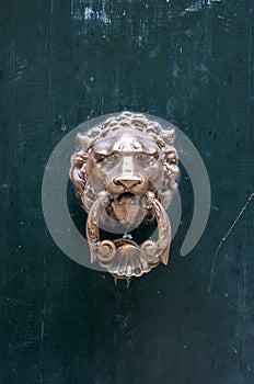 Mistrusting door knock lion head