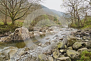 A misty April day by the River Mawddach in Wales