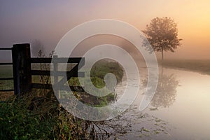 A misty atmosphere near Giessenburg