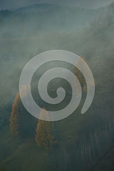 Misty autumn countryside landscape in the Carpathian mountains