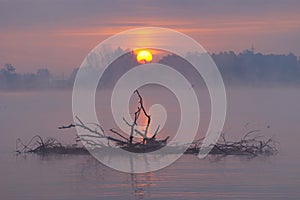 Misty Autumn Landscape