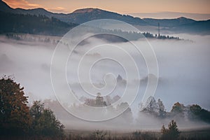 Misty autumn landscape. fog between trees, beautiful morning