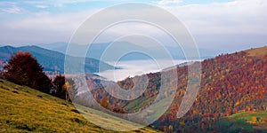 Misty autumn morning in carpathian mountains