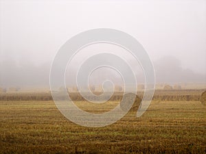 Misty autumn morning in the hay field