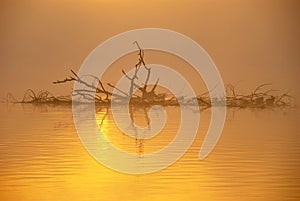 Misty Autumn Sunrise