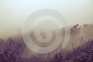 Misty Backgrounds