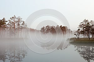 Misty bog landscape in Cena moorland, Latvia