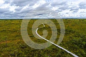 Misty bog landscape with Viru Raba moor in the morning. Lahemaa National park in Estonia.