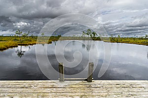 Misty bog landscape with Viru Raba moor in the morning. Lahemaa National park in Estonia.