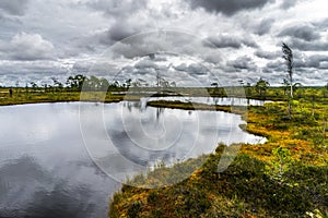 Misty bog landscape with Viru Raba moor in the morning. Lahemaa National park in Estonia.