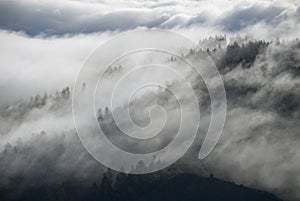 Misty California mountainside