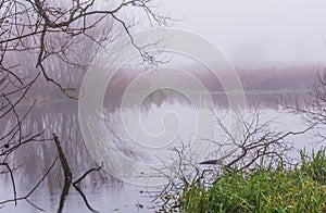 Misty, calm morning at a river in Scania, Sweden. Reflections in the water