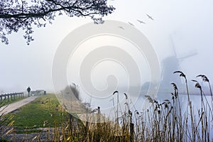 Misty and calm windmill sunrise