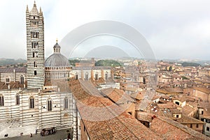 Misty city with historical buildings and roofs of the 14th century Duomo di Siena, Italy. UNESCO Heritage Site