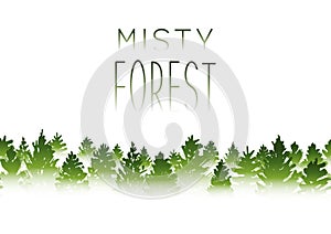 Misty coniferous forest sihouette