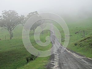 Misty Country Road 2