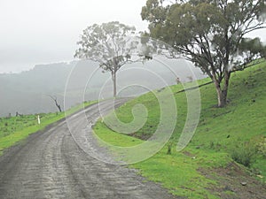 Misty Country Road 3