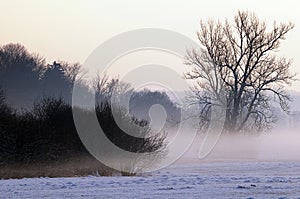 Misty countryside in Winter