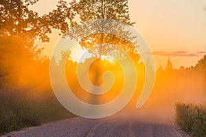 Misty dawn with forest road and sunbeams dawn