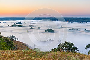 Misty dawn over Valley and the forest