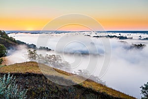 Misty dawn over Valley and the forest