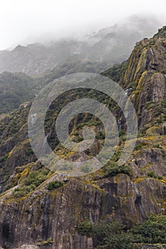 Misty day in the mountains near Franz Josef Glacier