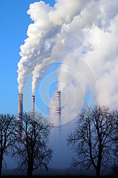 Misty day and steaming coal power plant