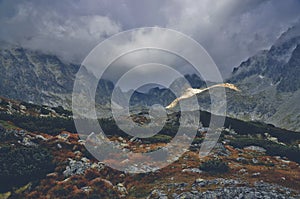 Misty dreamy landscape. Deep misty valley in autumn Slovakia park full of heavy clouds of dense fog