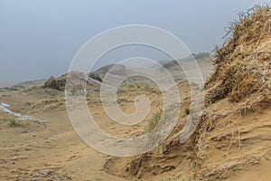 Misty dune landscape with by wind carved wind holes against a background with grey fog