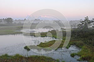 Misty evening in Kakerdaja Bog