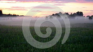 Misty field at sunset