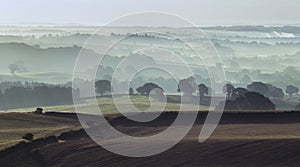 Misty Fields of British Countryside at Autumn