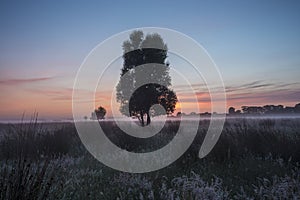 Misty Fields in Farm at Sunrise