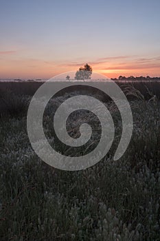 Misty Fields in Farm at Sunrise