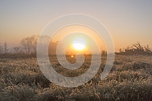 Misty Fields in Farm at Sunrise