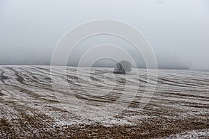 misty fields and meadows with snow in winter