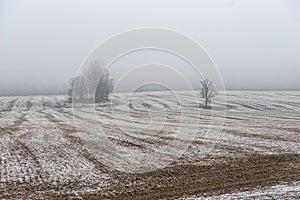 misty fields and meadows with snow in winter