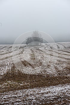 misty fields and meadows with snow in winter