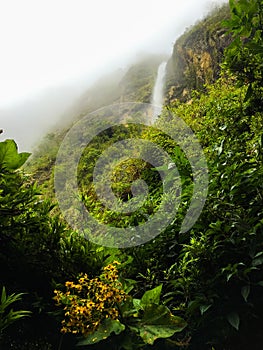 Nebbioso nebbia sul cascata 