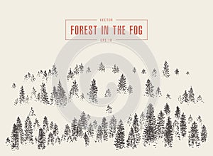 Misty fog pine forest mountain vector drawn sketch