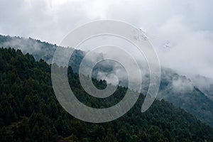 Misty foggy mountain landscape. Nature mountain forest landscape. Scenic background. Mystery weather in the mountains