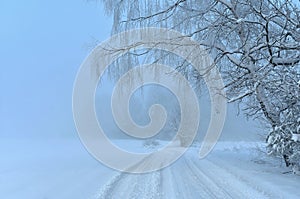 Misty foggy winter in Europe.Snowy trees